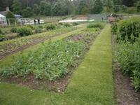 Gärtnerei in Balmoral Castle