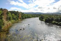 Auf dem Weg in Richtung Cairngorms Nationalpark