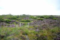 Nationalpark Cairngorm