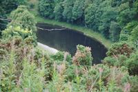 Herrlicher Blick vom Scotts-View