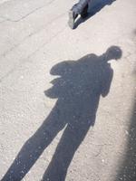 Schattentheater in Edinburgh1