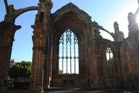 Melrose Abbey