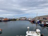 7. Reisetag – Erkundung der Orkney-Inseln – Hafen von Kirkwall
