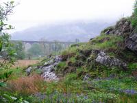 Zwischen Fort William und Mallaig