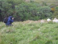 Fotostopp - einer von vielen