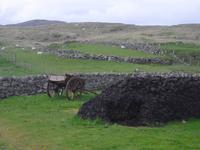 Schottland - Mai 2014