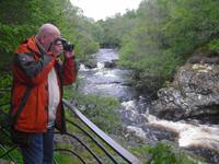 Falls of Shin - Schottland