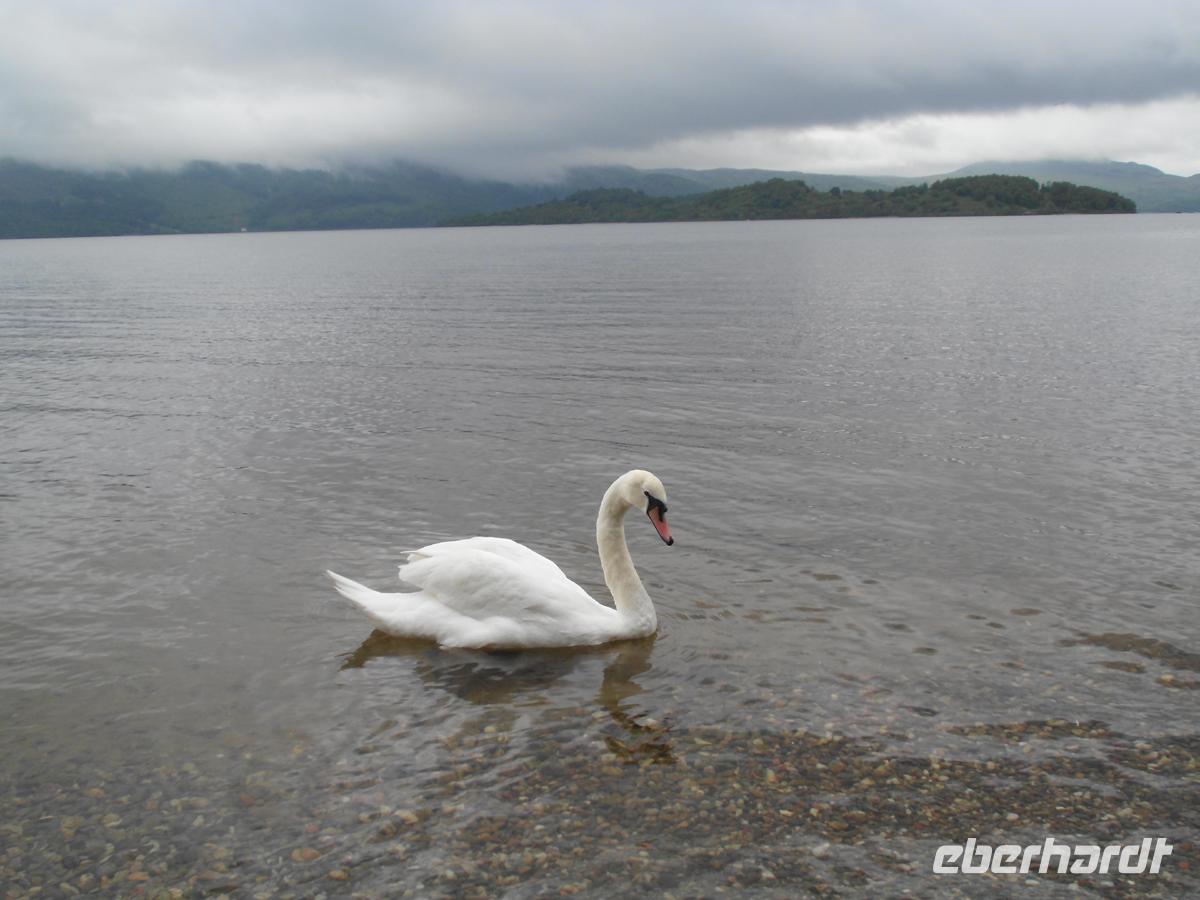 Am Loch Lomond
