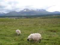 Der Ben Nevis in Wolken