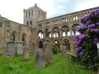 Jedburgh Abbey