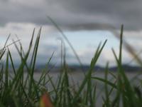 Blick auf den Forth of Firth - von Fort George