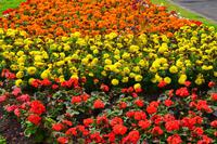 284 Jedburgh, Blumenrabatte