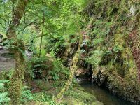 9. Reisetag – Von Inverness nach Edinburgh – Wanderung auf den Spuren von Robert Burns zu den „Birks of Aberfeldy“
