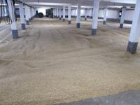 Islay, Laphroig Distillery