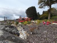 asiatischer Ziergarten auf Bute