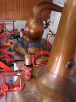 Kleinste legale Destillierblase in Schottland - in Edradour