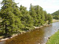 Am River Gairn bei Gairnshiel Lodge