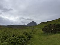 A894, NC500