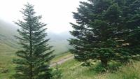 Am Argyll Forrest Viewpoint