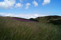 An Arthur's Seat