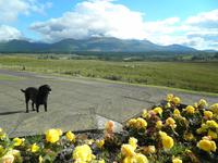 Ben Nevis