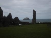 Blick zum Bass Rock