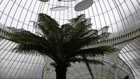 Botanischer Garten Glasgow 20180812 181243