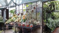 Botanischer Garten Glasgow 20180812 181752