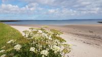 Braighe Beach bei Stornoway