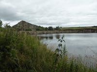 Cawfields