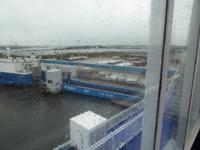 DFDS