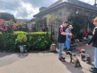 Dorfleben in Luss