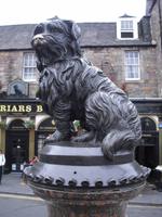 Edinburgh - Bobby