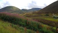 Fahrt nach Newtonmore 20180814 182538