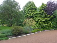 Garten von Holyrood