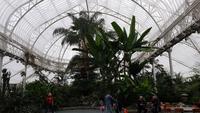 Glasgow Peoples Palace 20180814 113351