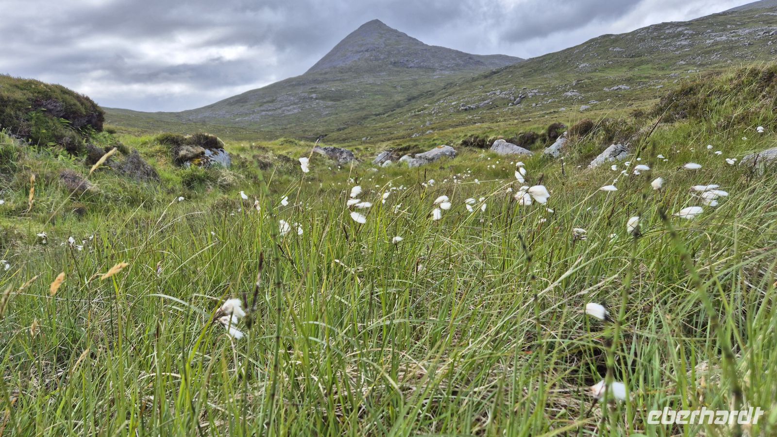 Harris: Clisham