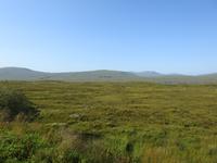 Hochmoor