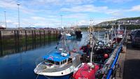 Im Hafen von Mallaig