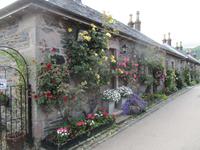 In Luss