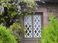 In Luss