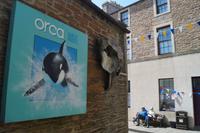 In Stromness