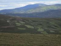 In den Highlands