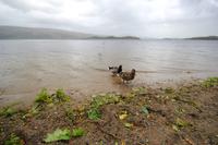 Loch Lomond