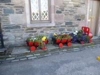 Luss