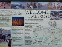 Melrose