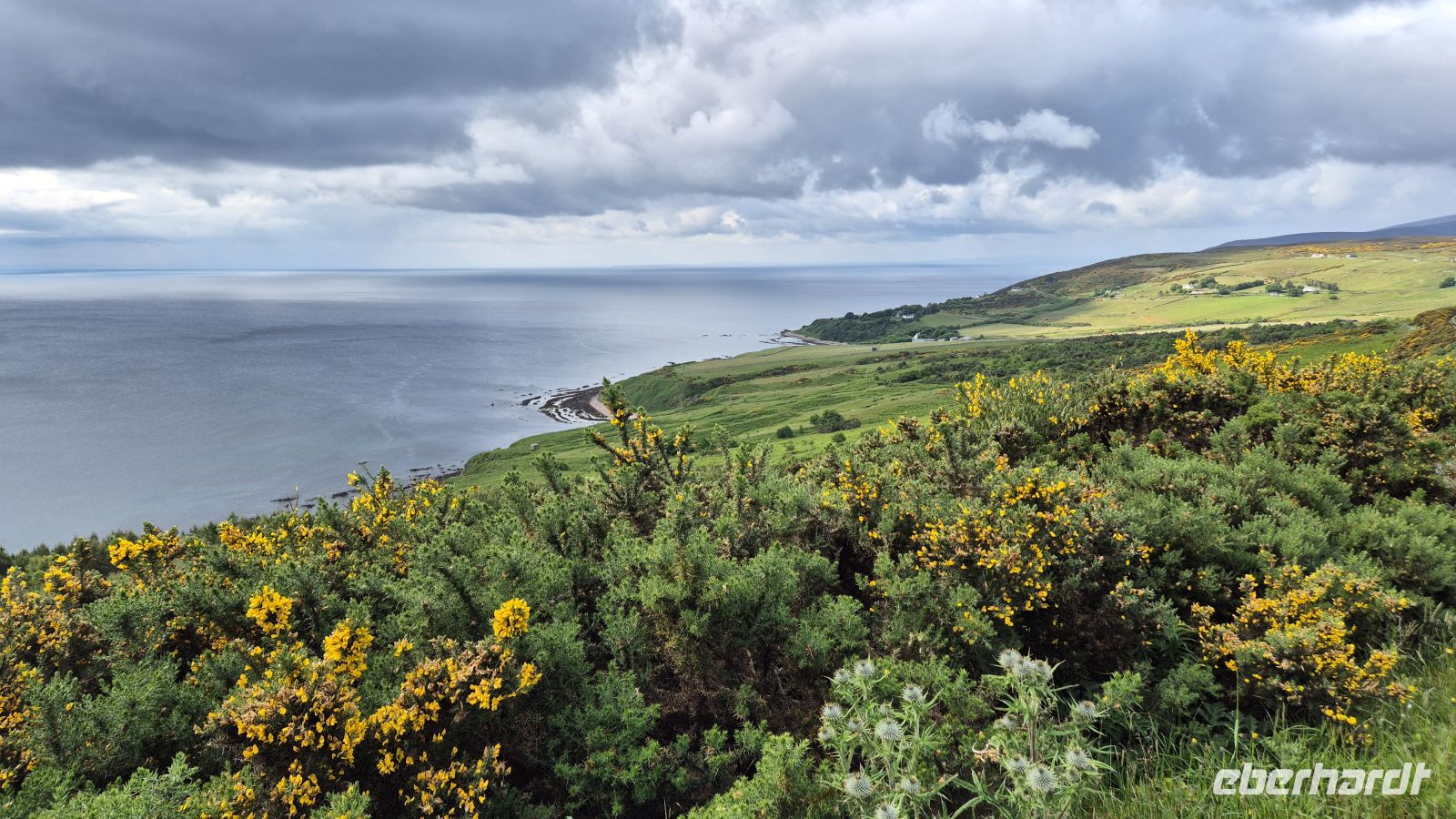 Moray Firth