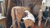Museum Blair Atholl
