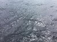 Nessi unter Wasser