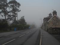 Newtonmoore im Nebel